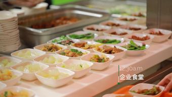 太太乐发力餐饮服务，瞄准团餐万亿蓝海市场